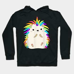 Rainbow Hedgehog Unicorn Funny Pet Animal Lover Hoodie